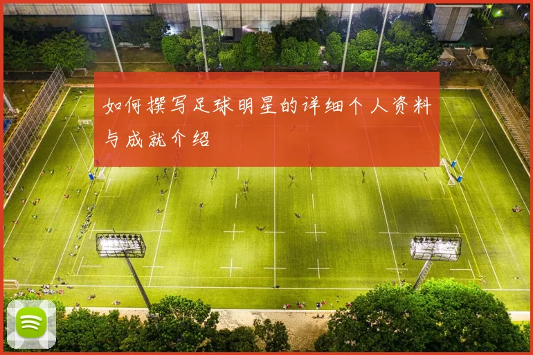 如何撰写足球明星的详细个人资料与成就介绍