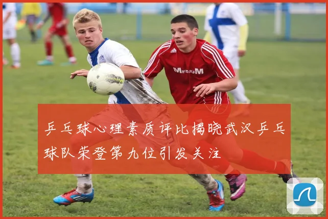 乒乓球心理素质评比揭晓武汉乒乓球队荣登第九位引发关注