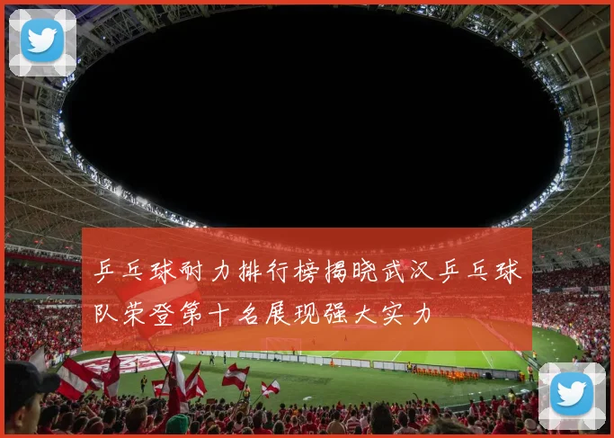 乒乓球耐力排行榜揭晓武汉乒乓球队荣登第十名展现强大实力