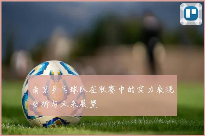 南京乒乓球队在联赛中的实力表现分析与未来展望