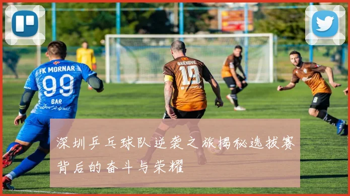 深圳乒乓球队逆袭之旅揭秘选拔赛背后的奋斗与荣耀