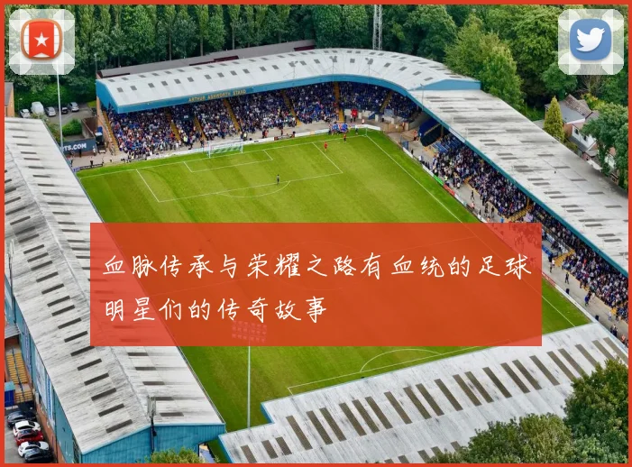 血脉传承与荣耀之路有血统的足球明星们的传奇故事
