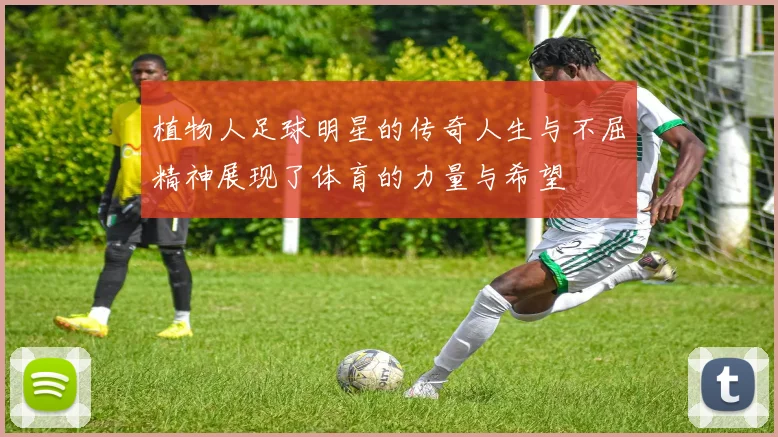 植物人足球明星的传奇人生与不屈精神展现了体育的力量与希望