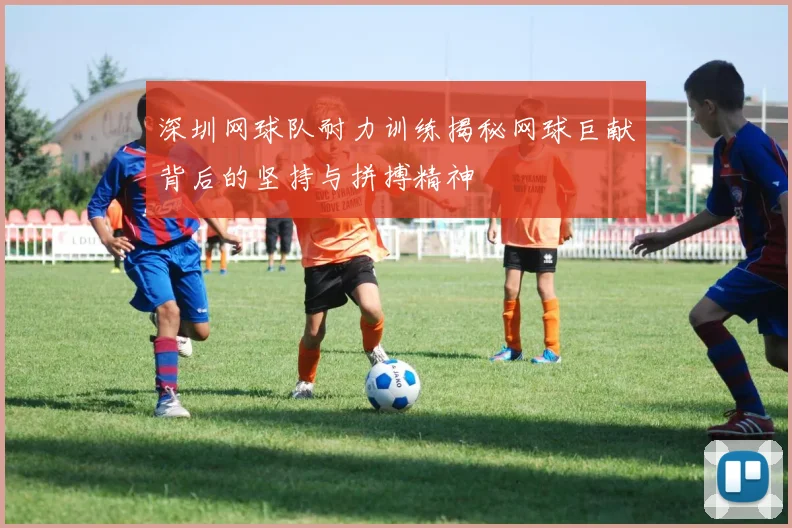 深圳网球队耐力训练揭秘网球巨献背后的坚持与拼搏精神