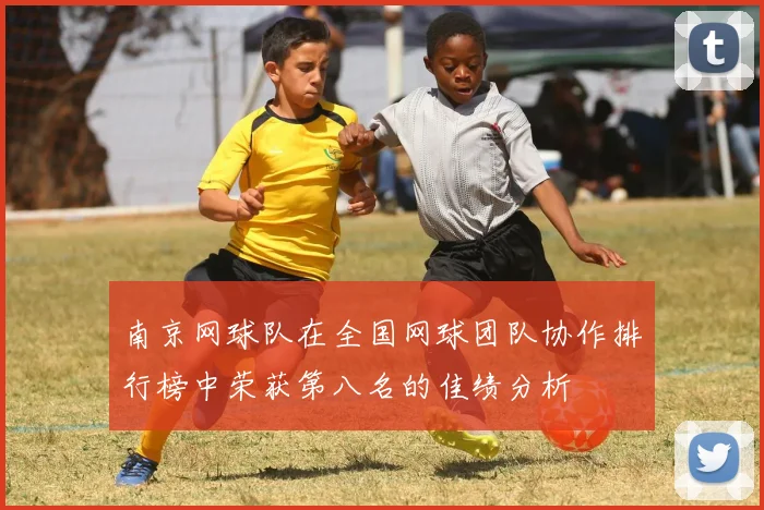 南京网球队在全国网球团队协作排行榜中荣获第八名的佳绩分析