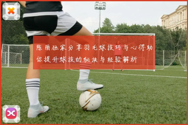 陈丽独家分享羽毛球技巧与心得助你提升球技的秘诀与经验解析