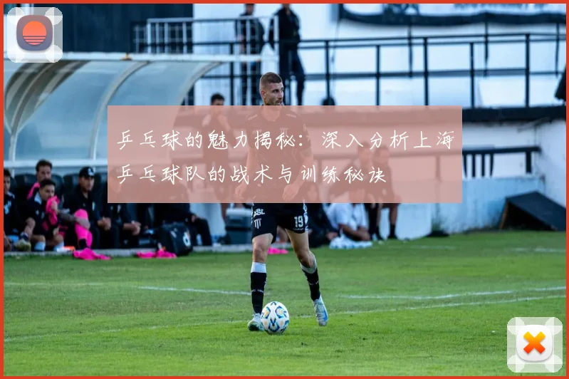 乒乓球的魅力揭秘：深入分析上海乒乓球队的战术与训练秘诀