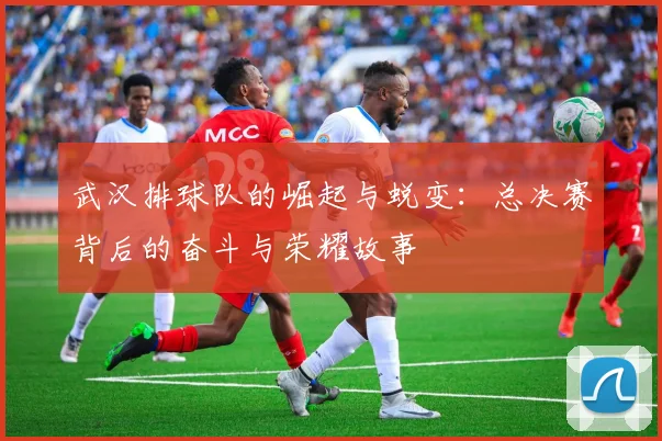 武汉排球队的崛起与蜕变：总决赛背后的奋斗与荣耀故事